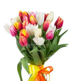 Bouquet of 25 tulips